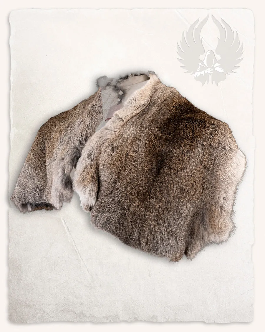 Fur collar Flemish Giant Steel Grey