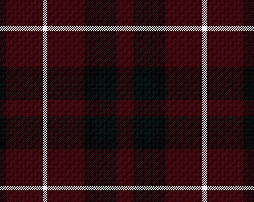 Stuart of Bute Modern Light Weight Tartan Scarf