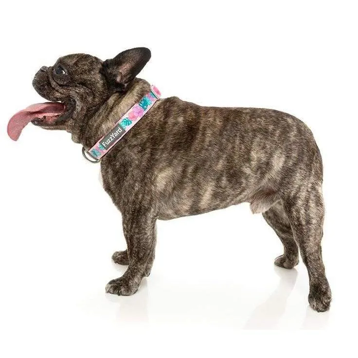 The Dog Collar By FuzzYard - Lahaina