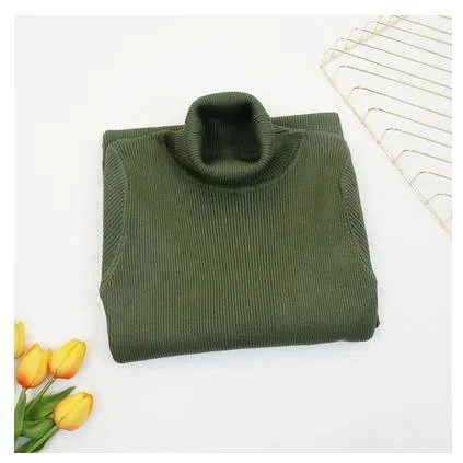 Wjczt New Autumn Winter Women Knitted Dress Turtleneck Sweater Dresses Lady Slim Bodycon Long Sleeve Bottoming Dress Vestidos PP003